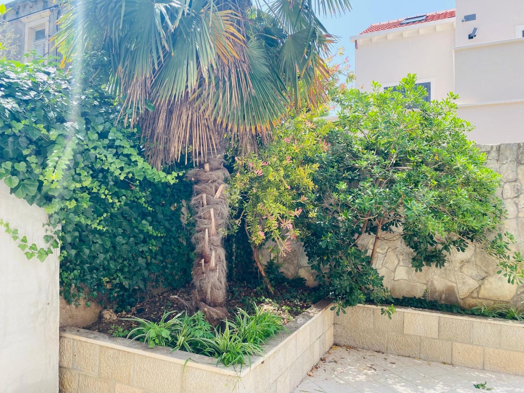 Pafi Apartment Dubrovnik Bagian luar foto